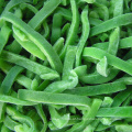 frozen pepper frozen green/red/yellow peppers hot sale wholesale pepper frozen